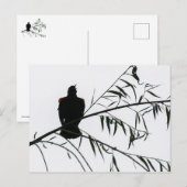 Carte Postale Oiseau En Chanson (Devant / Derrière)