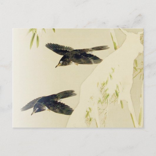 Carte Postale Oiseau en scène de neige, Watanabe Seitei (Devant)