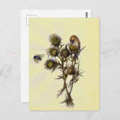 Carte Postale Oiseau et abeille (Devant / Derrière)
