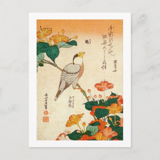 Carte Postale Oiseau et belle-de-nuit, Hokusai (Devant)