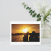 Carte Postale Oiseau et coucher de soleil (Debout devant)