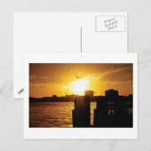 Carte Postale Oiseau et coucher de soleil (Devant / Derrière)