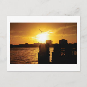 Carte Postale Oiseau et coucher de soleil