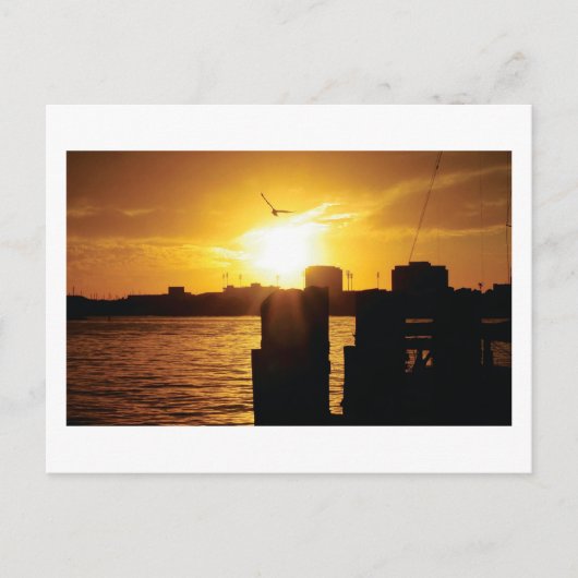 Carte Postale Oiseau et coucher de soleil (Devant)