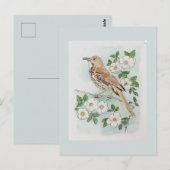 Carte Postale oiseau et fleur de l'État de Géorgie (Devant / Derrière)