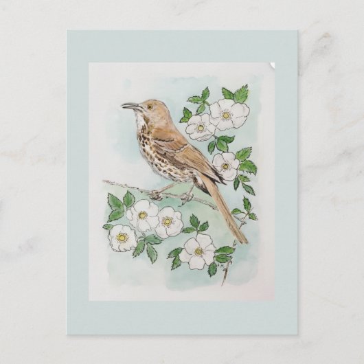 Carte Postale oiseau et fleur de l'État de Géorgie (Devant)