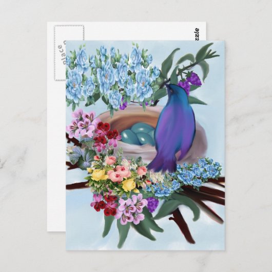 Carte Postale oiseau et nid (Devant / Derrière)