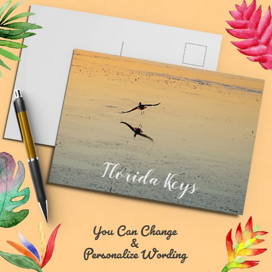 Carte Postale Oiseau et reflet volant au coucher du soleil Key W