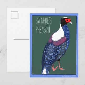 Carte Postale Oiseau -- Faisan de Swinhoe