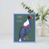 Carte Postale Oiseau -- Faisan de Swinhoe (Debout devant)