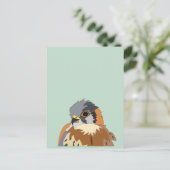 Carte Postale Oiseau Faucon Faucon (Debout devant)