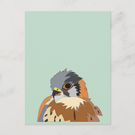 Carte Postale Oiseau Faucon Faucon (Devant)