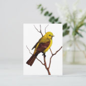 Carte Postale Oiseau : Femme Western Tanager : Art original (Debout devant)