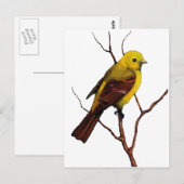 Carte Postale Oiseau : Femme Western Tanager : Art original (Devant / Derrière)