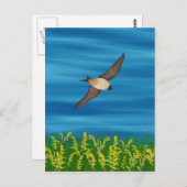 CARTE POSTALE OISEAU GRATUIT (Devant / Derrière)