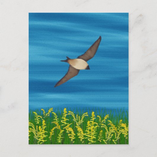 CARTE POSTALE OISEAU GRATUIT (Devant)