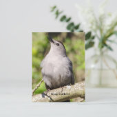 Carte Postale Oiseau gris (Debout devant)