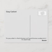 Carte Postale Oiseau gris (Dos)