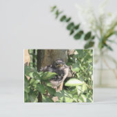 Carte postale Oiseau Grumpy (Debout devant)