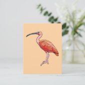 Carte Postale Oiseau Ibis Scarlet (Debout devant)