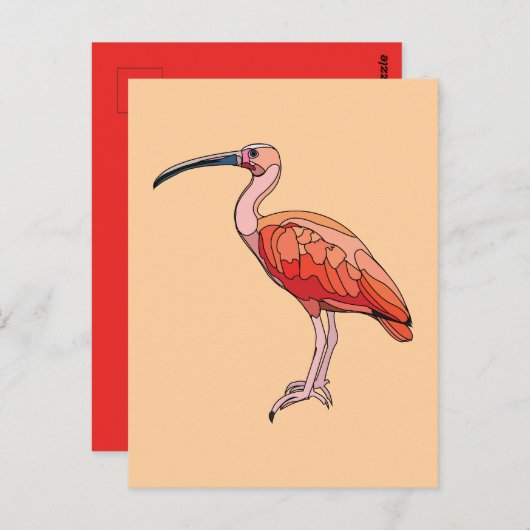 Carte Postale Oiseau Ibis Scarlet (Devant / Derrière)