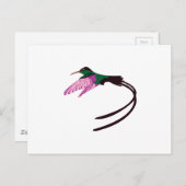 Carte Postale Oiseau jamaïcain (Devant / Derrière)