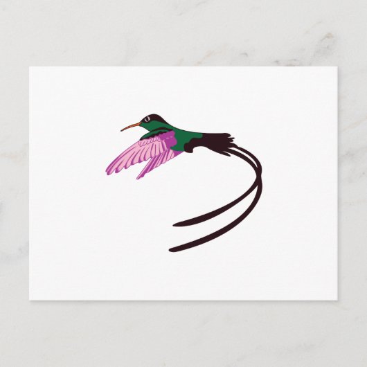 Carte Postale Oiseau jamaïcain (Devant)