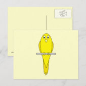 Carte Postale Oiseau Jaune. Canaire. (Devant / Derrière)