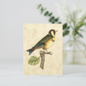 Carte Postale Oiseau jaune et vert perché sur une petite branche (Debout devant)