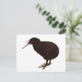 Carte Postale Oiseau kiwi (Debout devant)