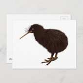 Carte Postale Oiseau kiwi (Devant / Derrière)