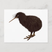 Carte Postale Oiseau kiwi (Devant)