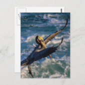 Carte Postale Oiseau libre (Devant / Derrière)