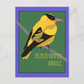 Carte Postale Oiseau - Loriot à gorge noire (Devant)