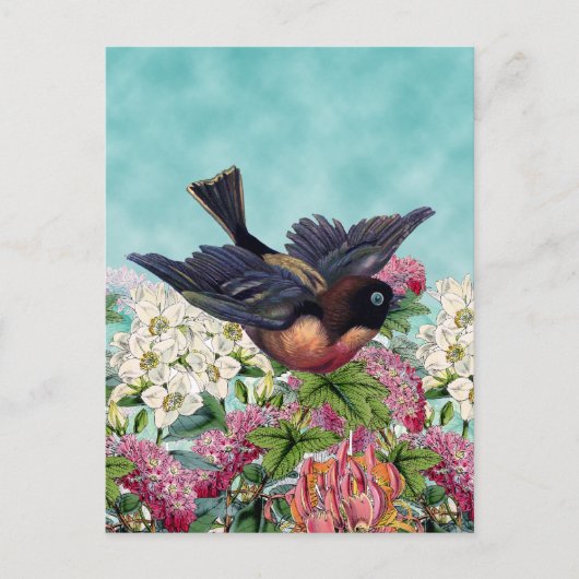 Carte Postale oiseau mignon aux yeux bleus survolant les fleurs (Devant)
