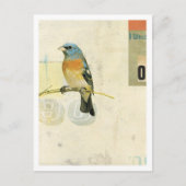 Carte Postale Oiseau no 1 (Devant)