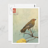 Carte Postale Oiseau no 2 (Devant / Derrière)