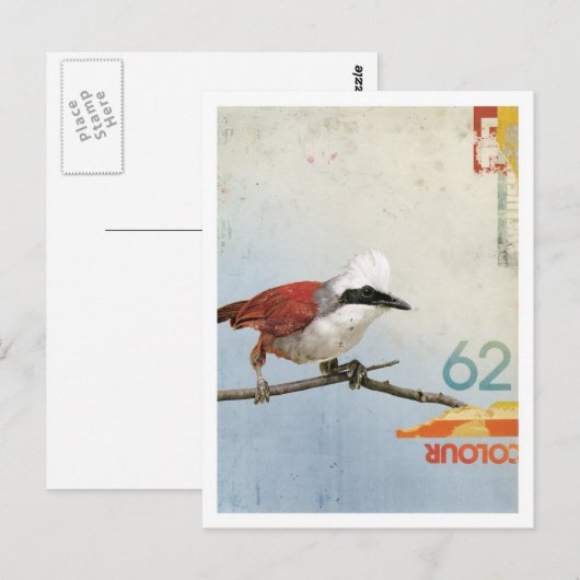 Carte Postale Oiseau no 3 (Devant / Derrière)