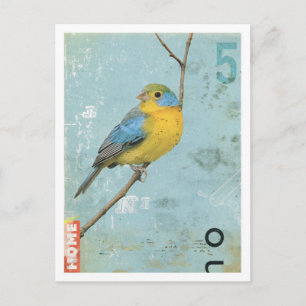 Carte Postale Oiseau no 5