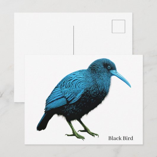 Carte Postale Oiseau noir (Devant / Derrière)