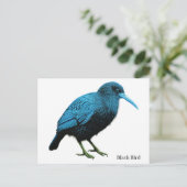 Carte Postale Oiseau noir (Debout devant)