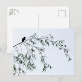 Carte Postale Oiseau noir sur saule (Devant / Derrière)