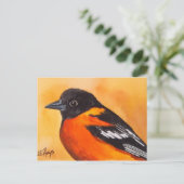 Carte postale Oiseau Oriole Baltimore (Debout devant)