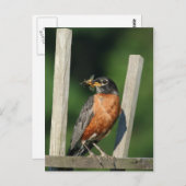 Carte Postale Oiseau précoce (Devant / Derrière)