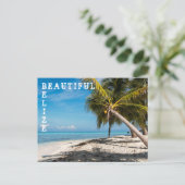 Carte Postale Oiseau riant Caye - Belize (Debout devant)