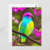 Carte postale Oiseau rose bleu jaune vert Imaginai (Devant / Derrière)