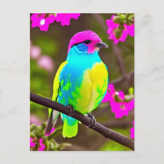 Carte postale Oiseau rose bleu jaune vert Imaginai (Devant)