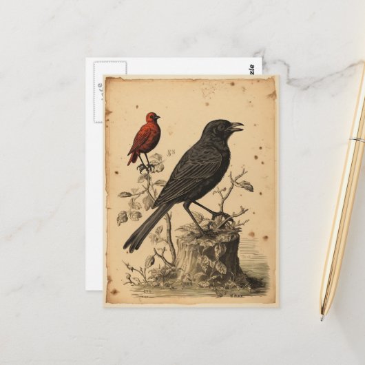 Carte Postale Oiseau Rouge et Corbeau de Style Ancien (Devant/Arrière en situation)