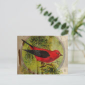 Carte Postale Oiseau rouge vintage (Debout devant)