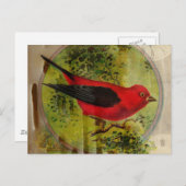 Carte Postale Oiseau rouge vintage (Devant / Derrière)